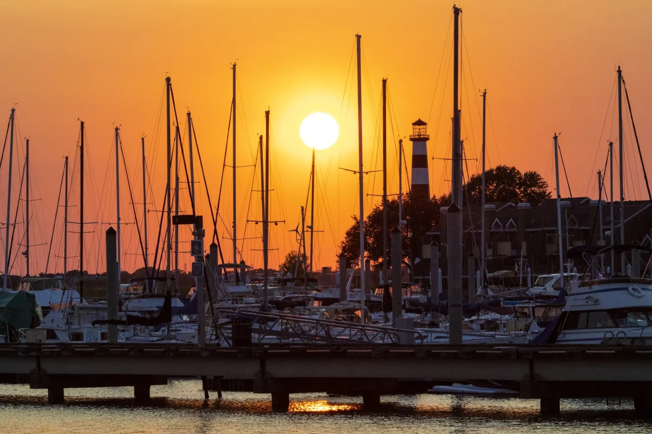 Texas City, TX artificial turf projects